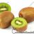 01 Kiwi Actinidia Chinensis