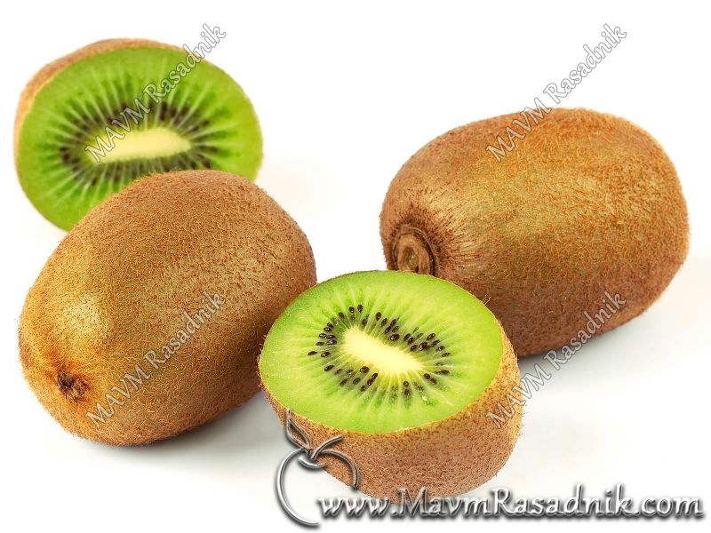 01 Kiwi Actinidia Chinensis