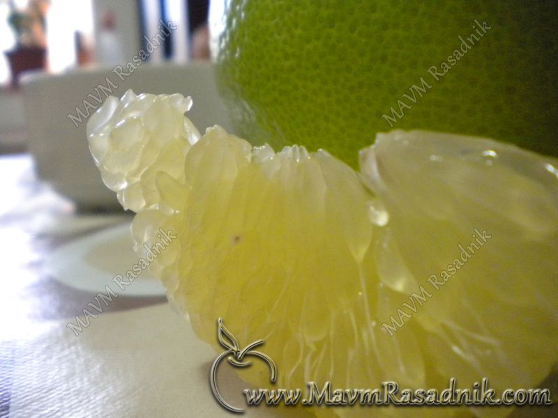 02 Pomelo Meso Je Belkaste Boje I Nije Kiselo Kao Grejpfrut