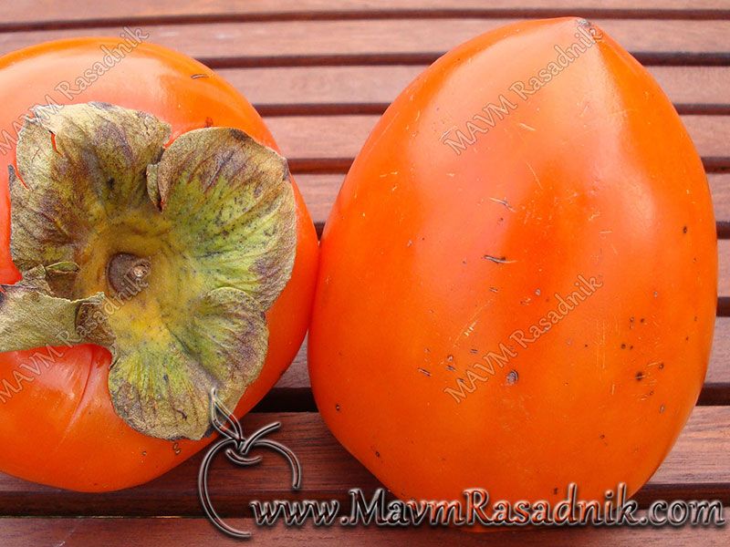 07 Kaki Poput Meda Slatka Loptica Koja Puca Od Zdravlja