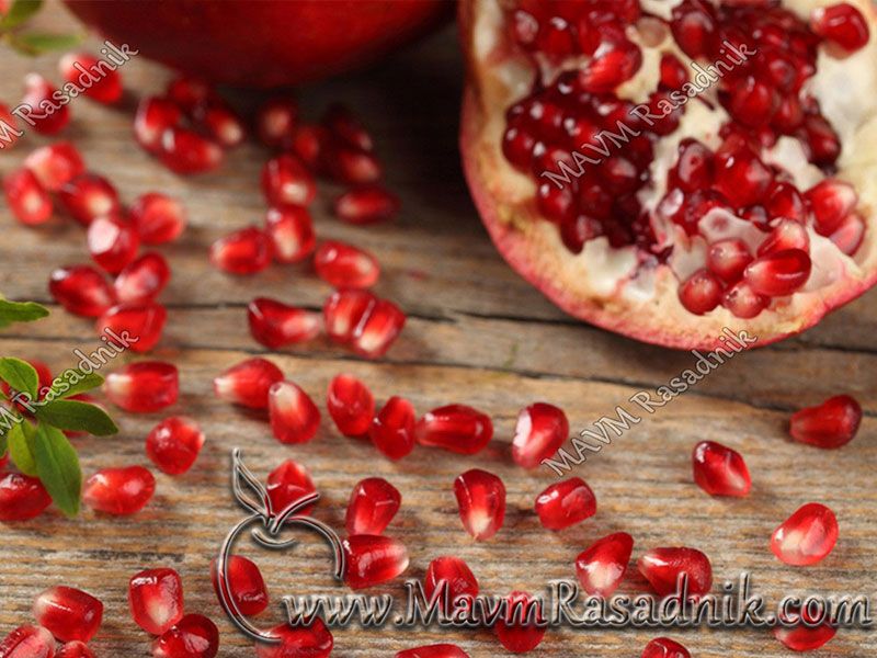 10 Nar Latinski Naziv Punica Granatum