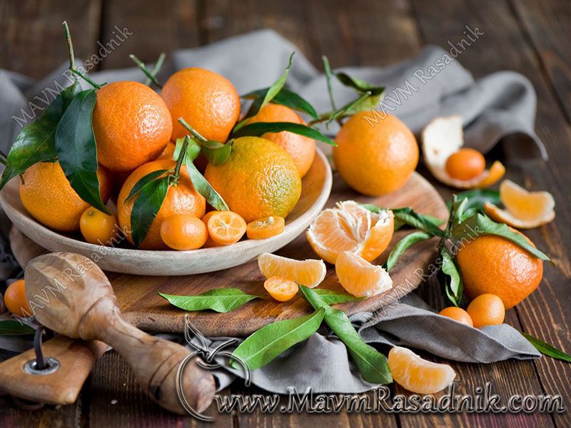 11 Razlika U Velicini Mandarine I Kumkvata