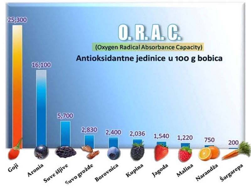 13 Niko Kao Goji Antioksidativna Vrednost Voca